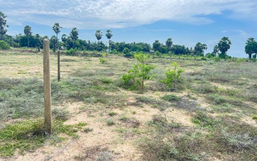 Land for sale in Navatkuli.