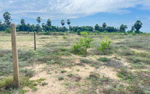 Land for sale in Navatkuli.