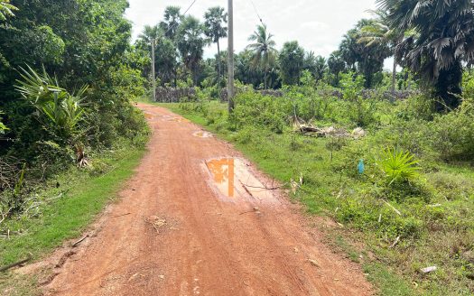 Land for sale in Navatkuli.