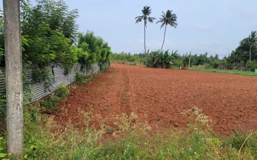 Land for sale in Chunnakam
