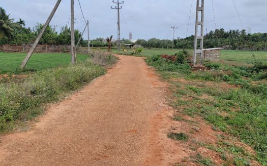 Land for sale in Chunnakam