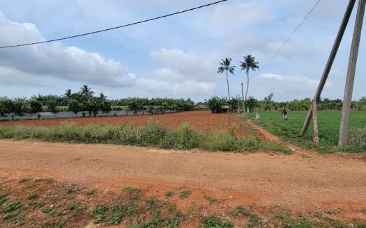 Land for sale in Chunnakam