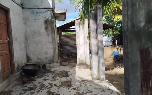Land for sale with an old house in Sankarathai, Vaddukottai
