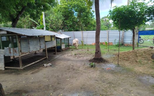 Land for sale with an old house in Sankarathai, Vaddukottai