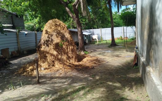 Land for sale with an old house in Sankarathai, Vaddukottai