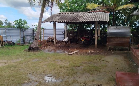 Land for sale with an old house in Sankarathai, Vaddukottai