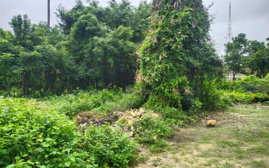 Land for sale in Nayanmarkaddu