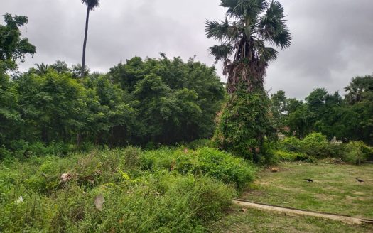 Land for sale in Nayanmarkaddu