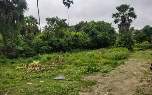 Land for sale in Nayanmarkaddu