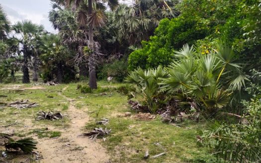 Land for sale in Ariyalai👇