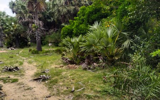 Land for sale in Ariyalai👇