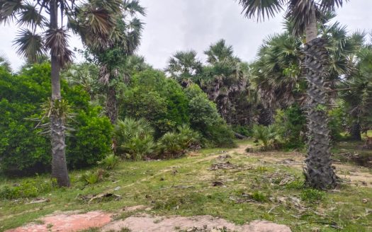 Land for sale in Ariyalai👇