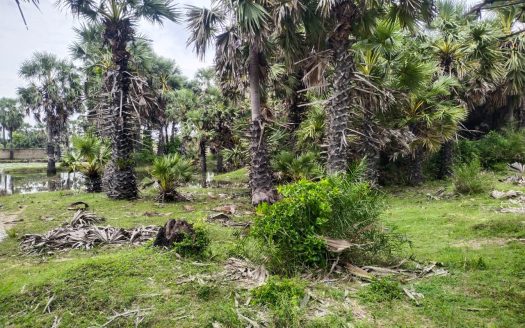 Land for sale in Ariyalai👇