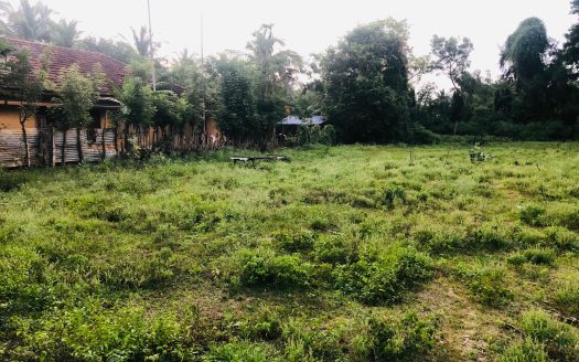 Land for sale in Neervely👇