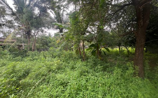 Land for sale in Kachcheri East