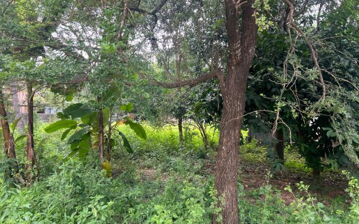 Land for sale in Kachcheri East
