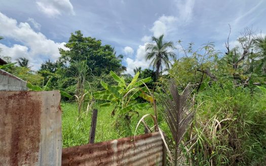 Land for sale in Kerawalapitiya, Wattala