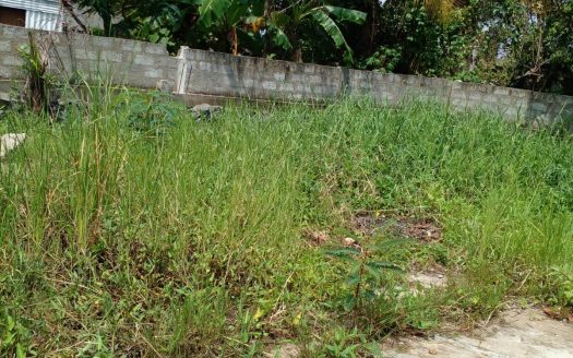 Land for sale in Kerawalapitiya, Wattala