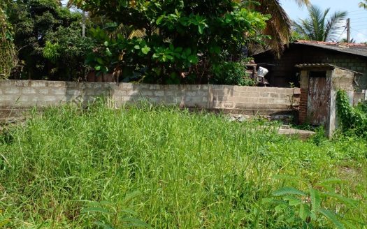 Land for sale in Kerawalapitiya, Wattala