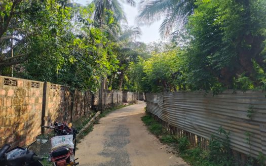 Land for sale in Nelliyadi