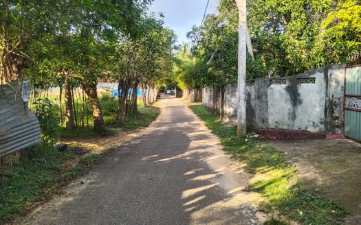 Land for sale in Nelliyadi