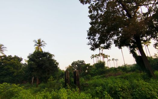 Land For Sale in Vattukkottai