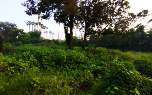 Land For Sale in Vattukkottai