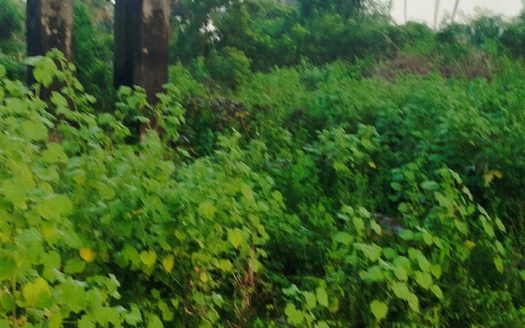 Land For Sale in Vattukkottai