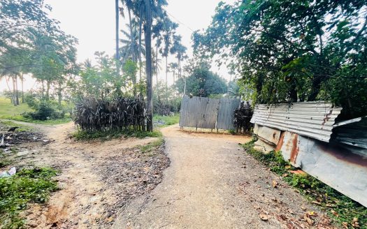 Land for rent in Manipay