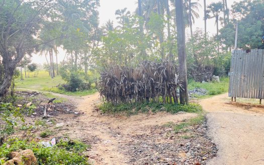 Land for rent in Manipay