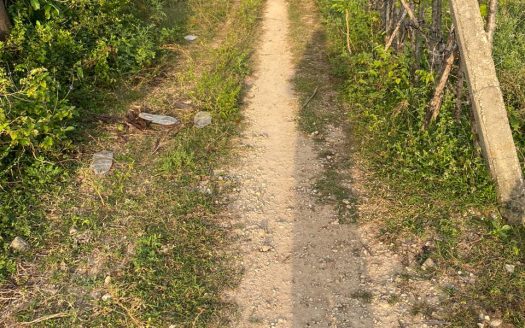 Land for sale in Valalai North Atchuveli