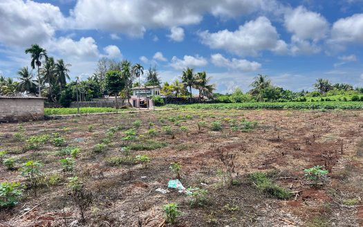 Land for sale in Kondavil.