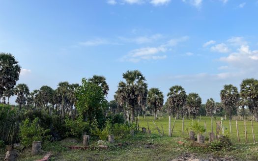 Land for Sale in Arukuveli