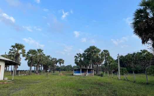 Land for Sale in Arukuveli