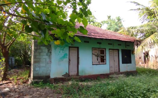 House for sale in Ariyalai