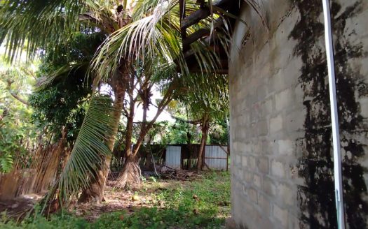 House for sale in Ariyalai
