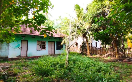 House for sale in Ariyalai