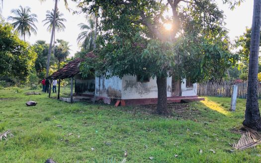 Land with house for sale in Allaipiddy