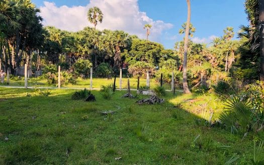 Land with house for sale in Allaipiddy