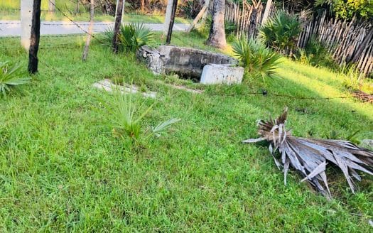 Land with house for sale in Allaipiddy