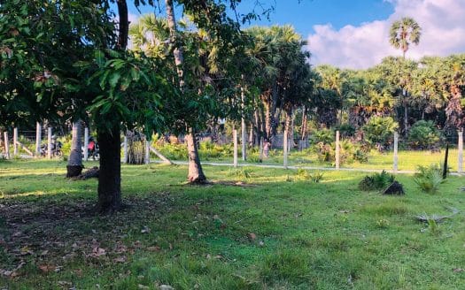 Land with house for sale in Allaipiddy