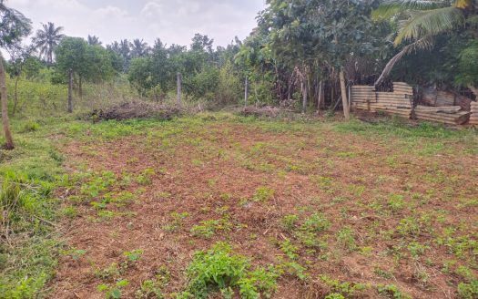 Land for sale in Koppay