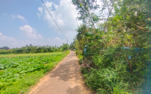Land for sale in Koppay