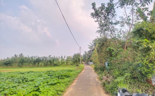 Land for sale in Koppay