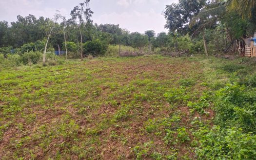 Land for sale in Koppay