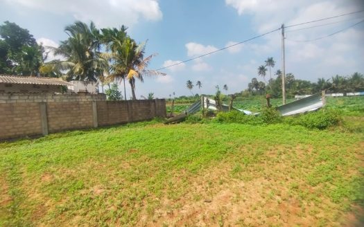 Land for sale in Koppay