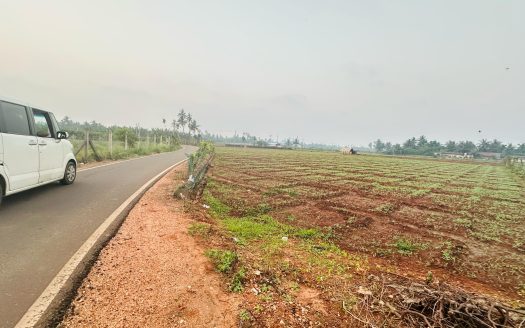 Land for sale in Chunnagam