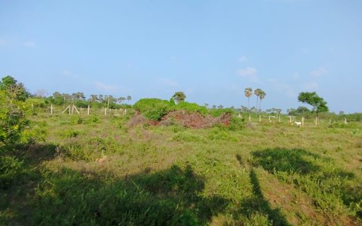 Land for sale in Keerimalai.