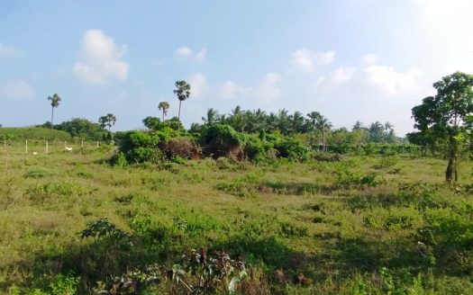 Land for sale in Keerimalai.