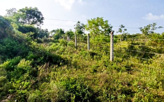 Land for sale in Keerimalai.